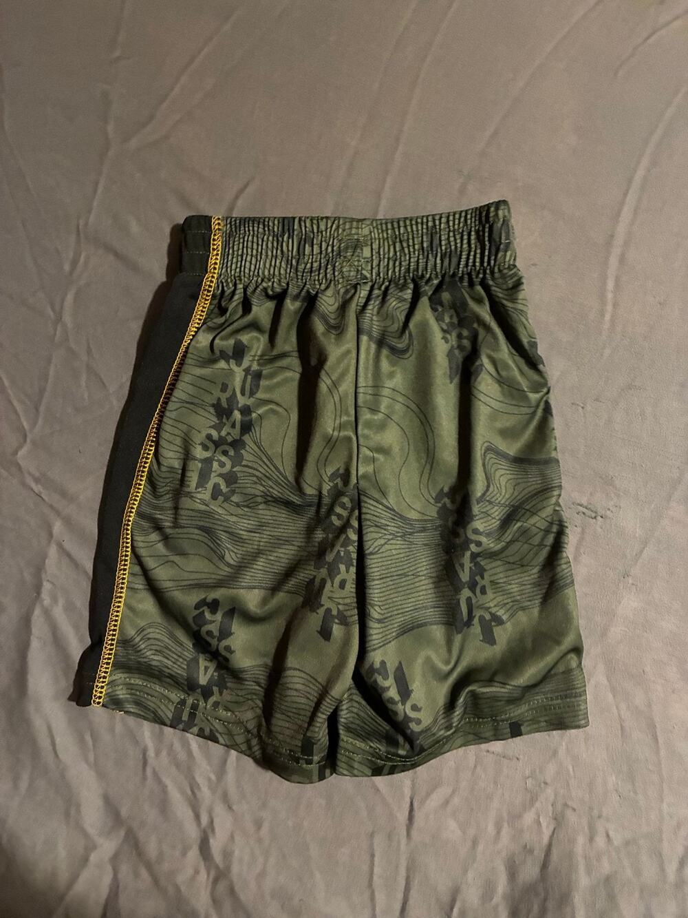 Jurassic Park Shorts Boys 5 Green Swim Trunks Elastic Waist Black Side Panel
